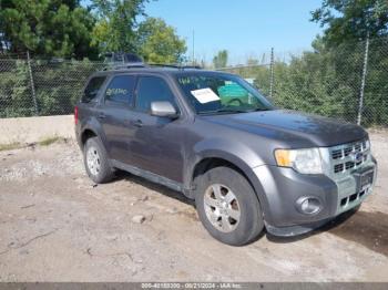  Salvage Ford Escape