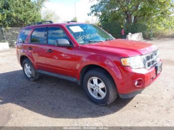  Salvage Ford Escape