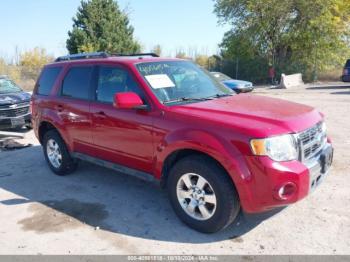  Salvage Ford Escape