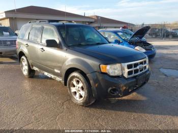  Salvage Ford Escape