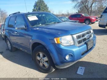  Salvage Ford Escape