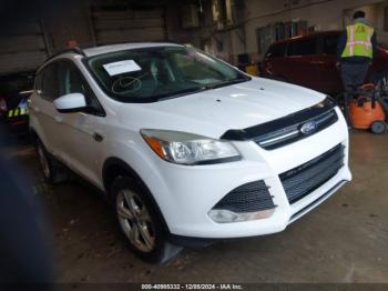  Salvage Ford Escape