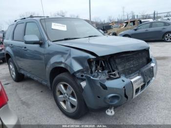  Salvage Ford Escape