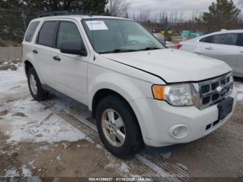  Salvage Ford Escape