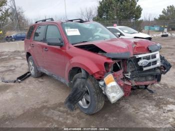  Salvage Ford Escape