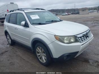  Salvage Subaru Forester