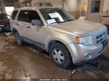  Salvage Ford Escape