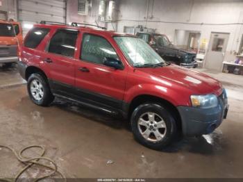  Salvage Ford Escape