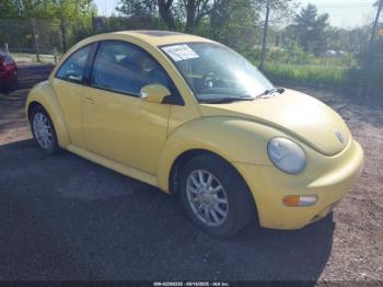  Salvage Volkswagen Beetle