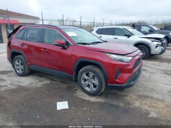  Salvage Toyota RAV4