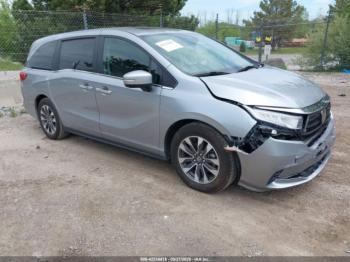  Salvage Honda Odyssey