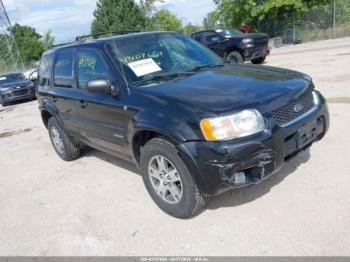  Salvage Ford Escape