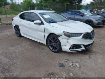  Salvage Acura TLX
