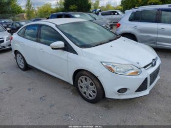  Salvage Ford Focus