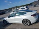 Tesla Model 3 Image 10