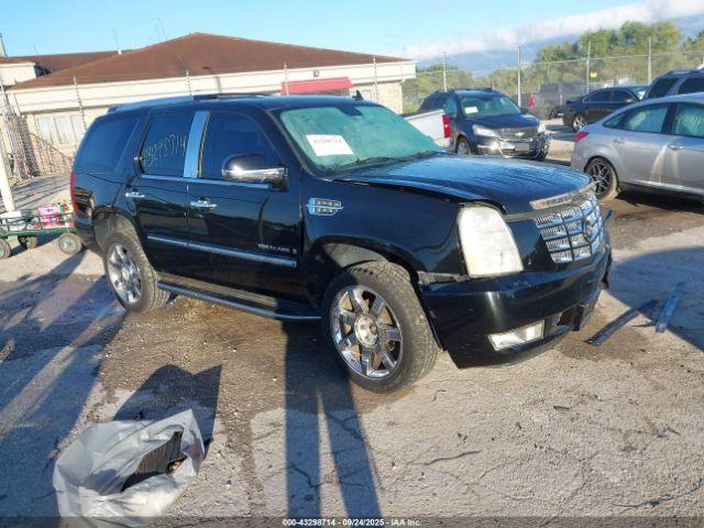  Salvage Cadillac Escalade