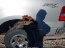 Ford F-150 Image 11