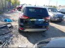 Ford Escape Titanium Image 2