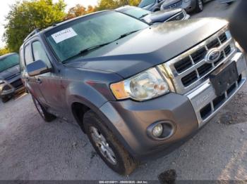  Salvage Ford Escape