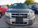 Ford Escape Limited Image 9