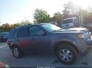 Ford Escape Limited Image 5