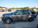 Ford Escape Limited Image 7