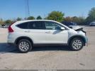 Honda CR-V Ex Image 14