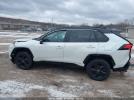 Toyota RAV4 Xse Image 11