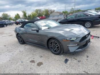  Salvage Ford Mustang