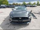 Ford Mustang Ecoboost Premium Image 14