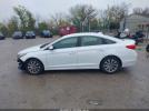 Hyundai SONATA Sport Image 10