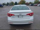 Hyundai SONATA Sport Image 2