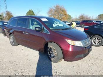  Salvage Honda Odyssey