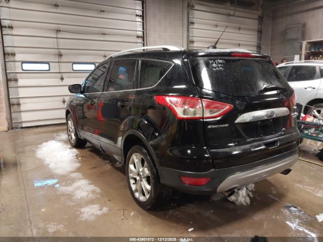 Ford Escape Titanium Image 3