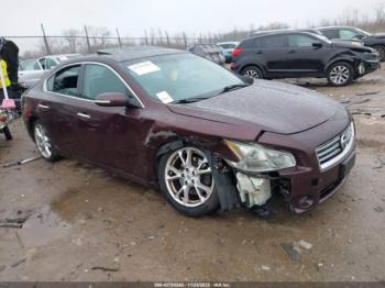  Salvage Nissan Maxima