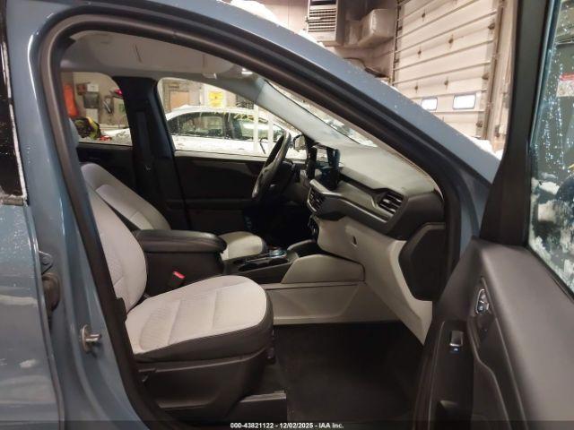 Ford Escape Active Image 6