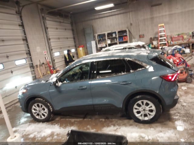 Ford Escape Active Image 10